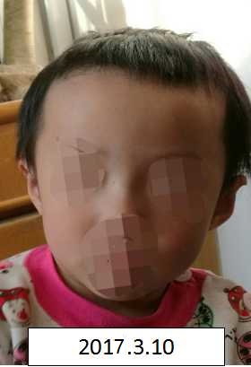 插鸡网